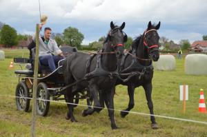 3. Srečanje kočij in konjenikov na Grabah 6